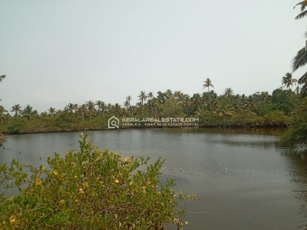 12 Acres of Waterfront Land for Sale in Muthukulam, Alappuzha 