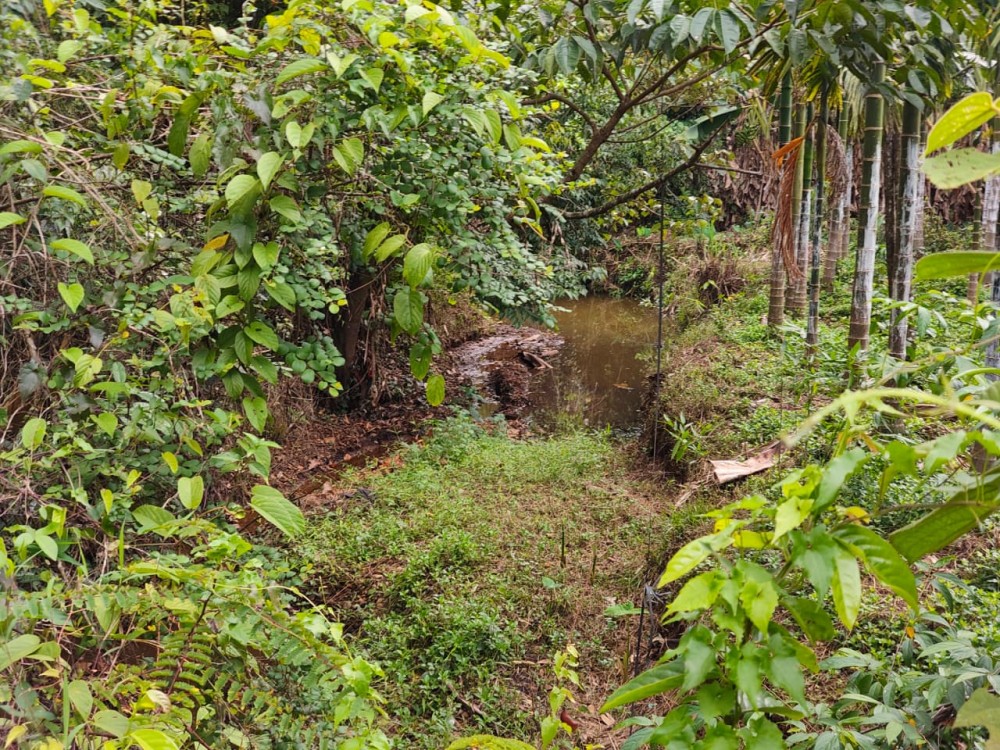 4 Acre Premium Resort / Villa Land for Sale in Padinjarathara, Wayanad 