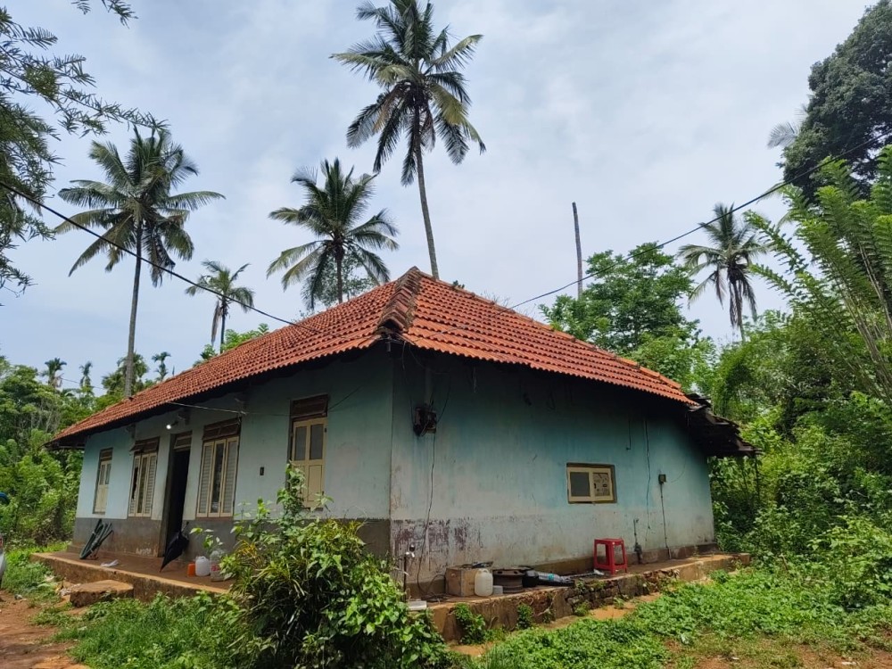 10 Acre of Premium Land for Sale in Kurichipatta, Pulpally, Wayanad