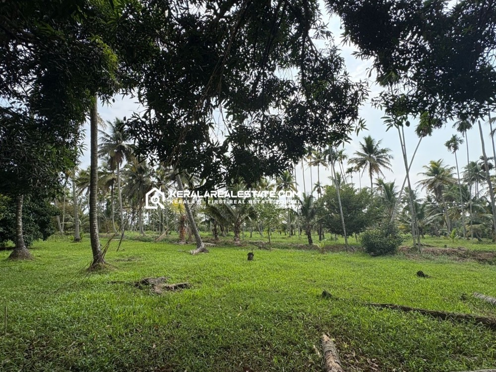 PRIME RESORT LAND FOR SALE IN KUMARAKOM, KOTTAYAM