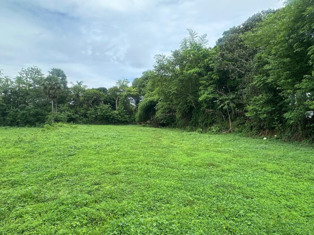 Prime Land for Sale in  Thiruvilwamala, Thrissur 