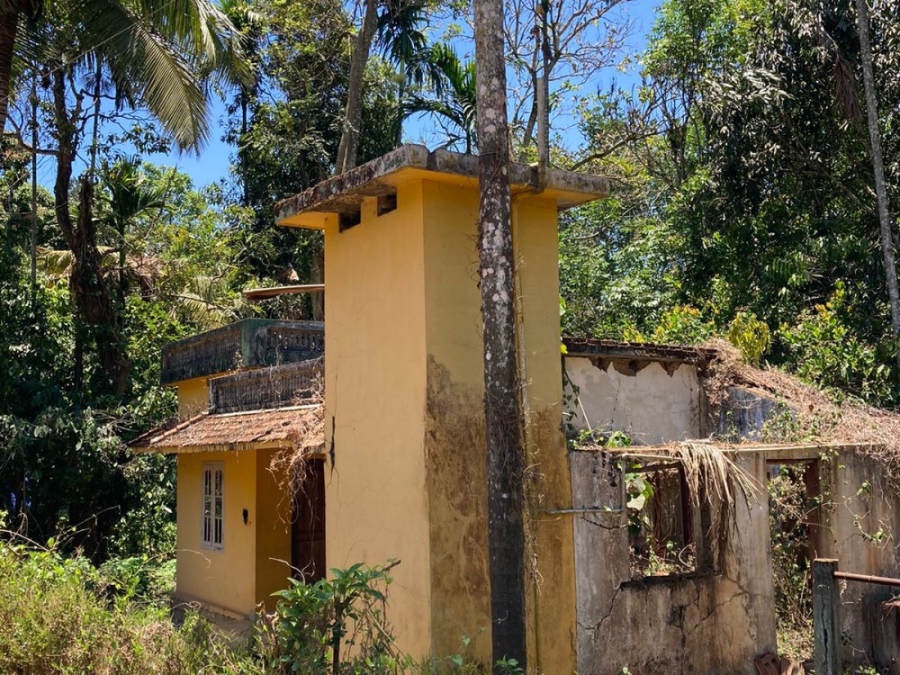 Premium House Plot for Sale in 7th Mile, Anjukunnu, Wayanad