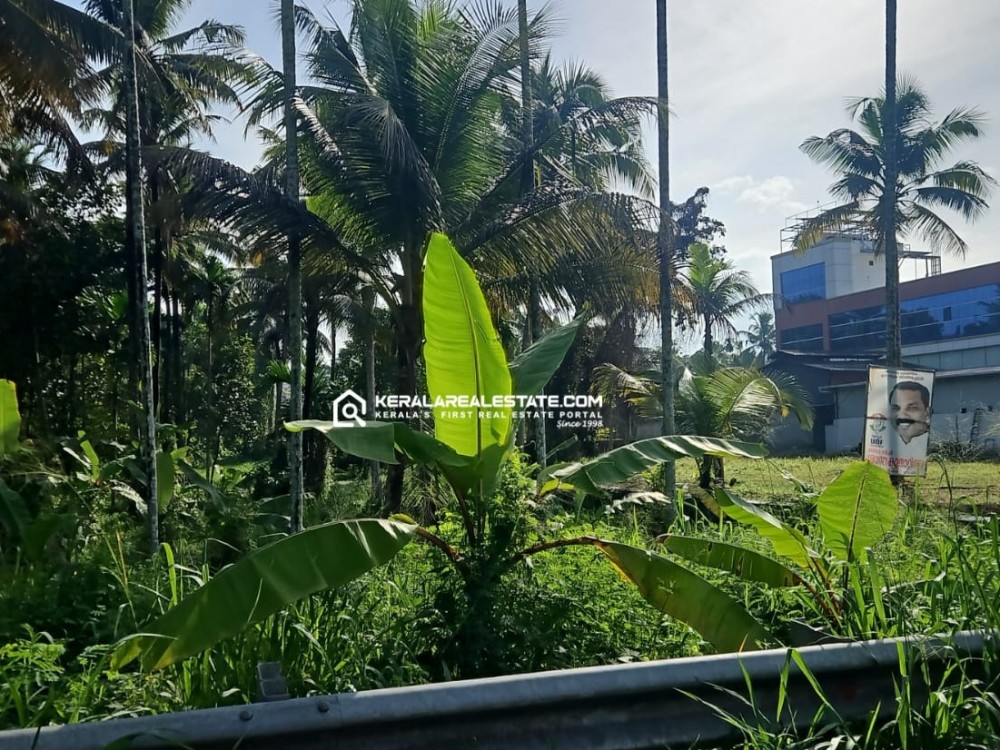 PRIME LAND FOR SALE AT ADOOR BYPASS, PATHANAMTHITTA