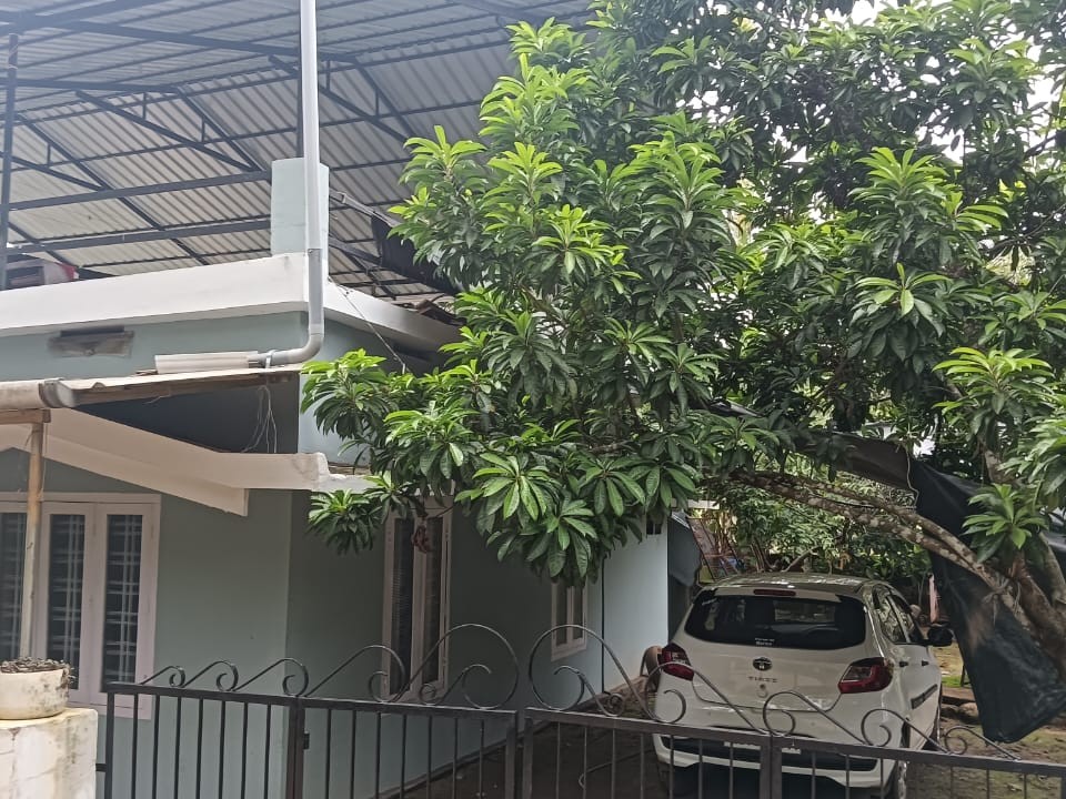 3 BHK House for Sale in Panamaram, Wayanad 