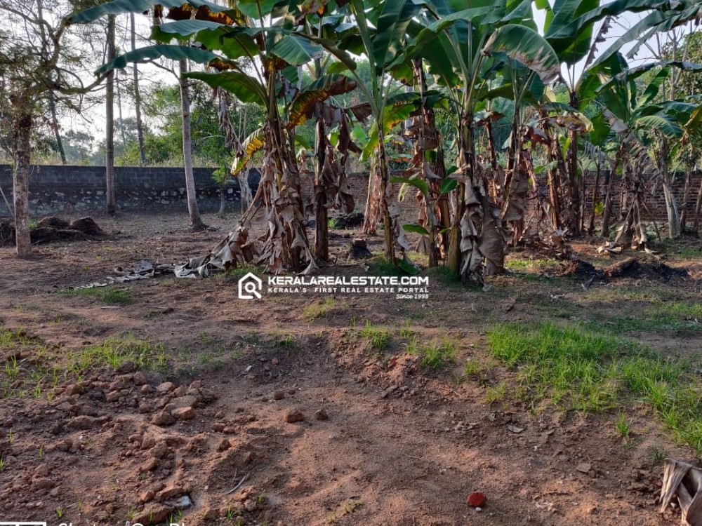 PRIME RESIDENTIAL LAND FOR SALE IN MANGALAPURAM, THIRUVANANTHAPURAM