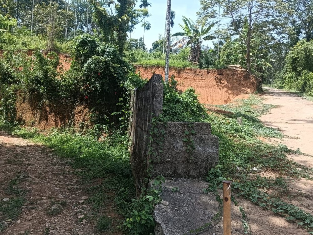 Land for Sale in Panamaram, Wayanad 