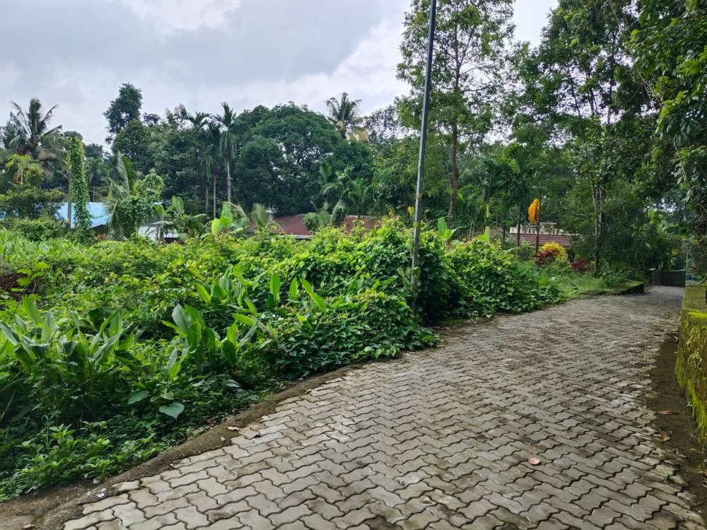 Residential Land for Sale in Kizhakkambalam, Ernakulam