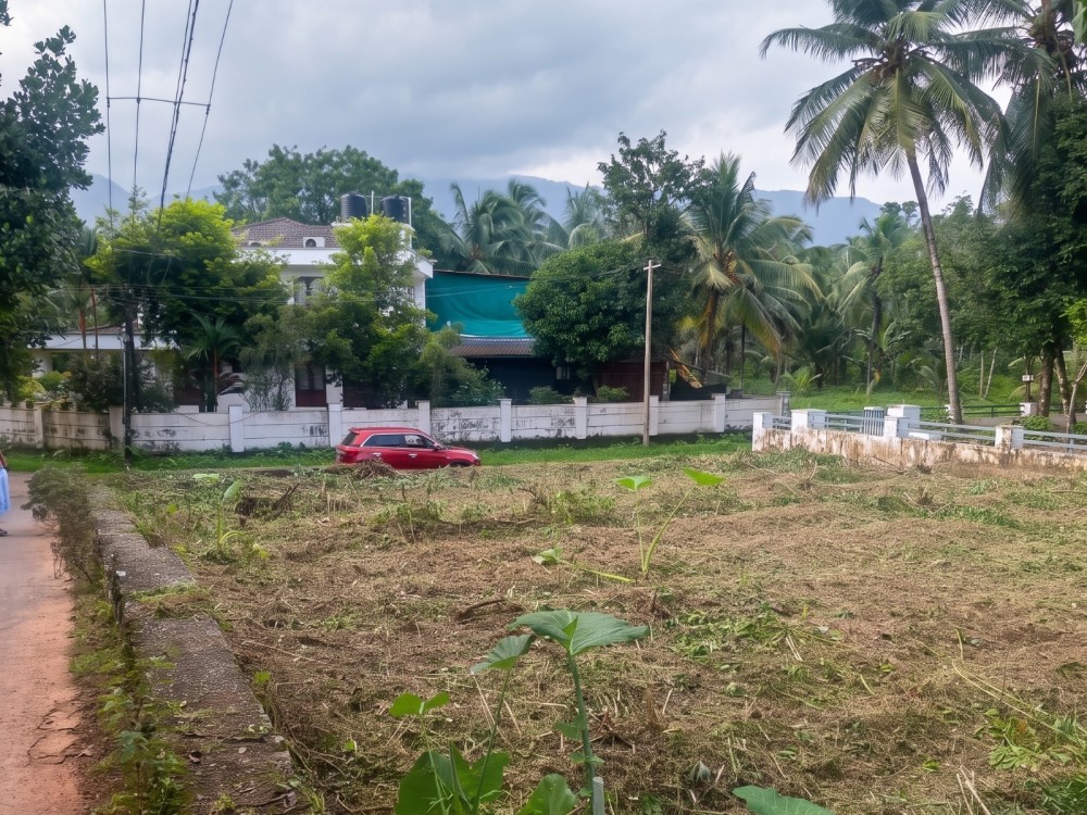 Prime Residential Land for Sale in Eangapuzha, Calicut