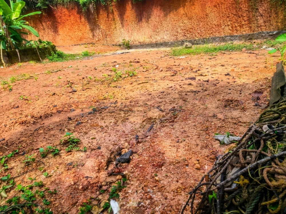 Prime Plot for Sale in Pukkattupady, Ernakulam 