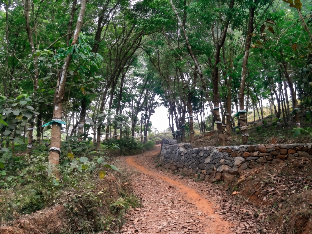 Land for Sale in Pattimattom, Ernakulam 