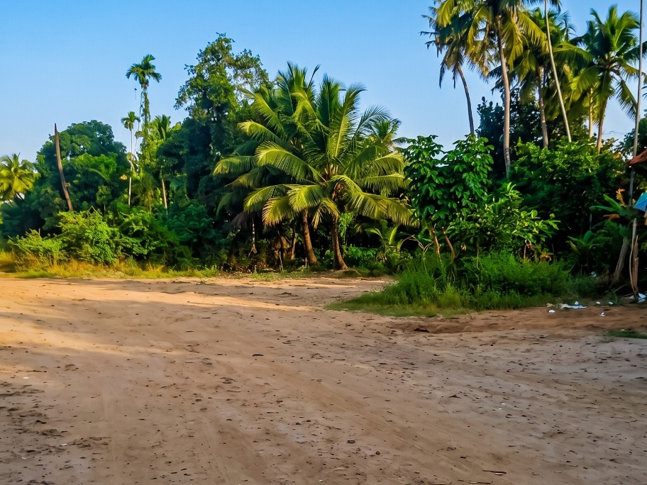 Prime Land for Sale in Nedumbassery, Ernakulam 