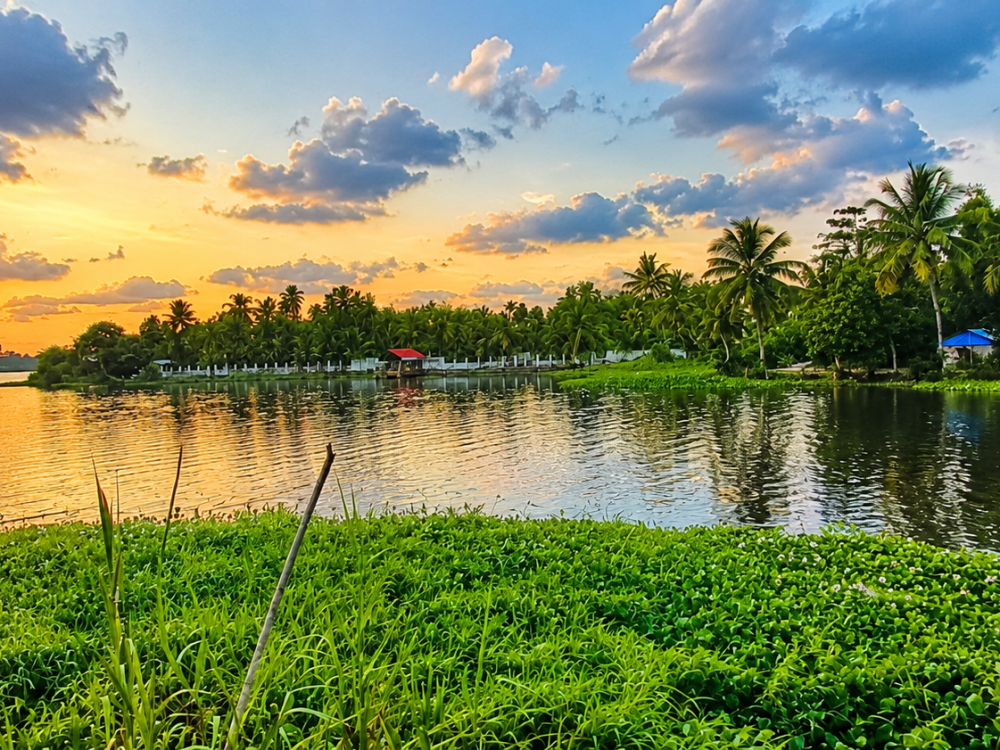 Waterfront Land for Sale in Vaikom, Kottayam