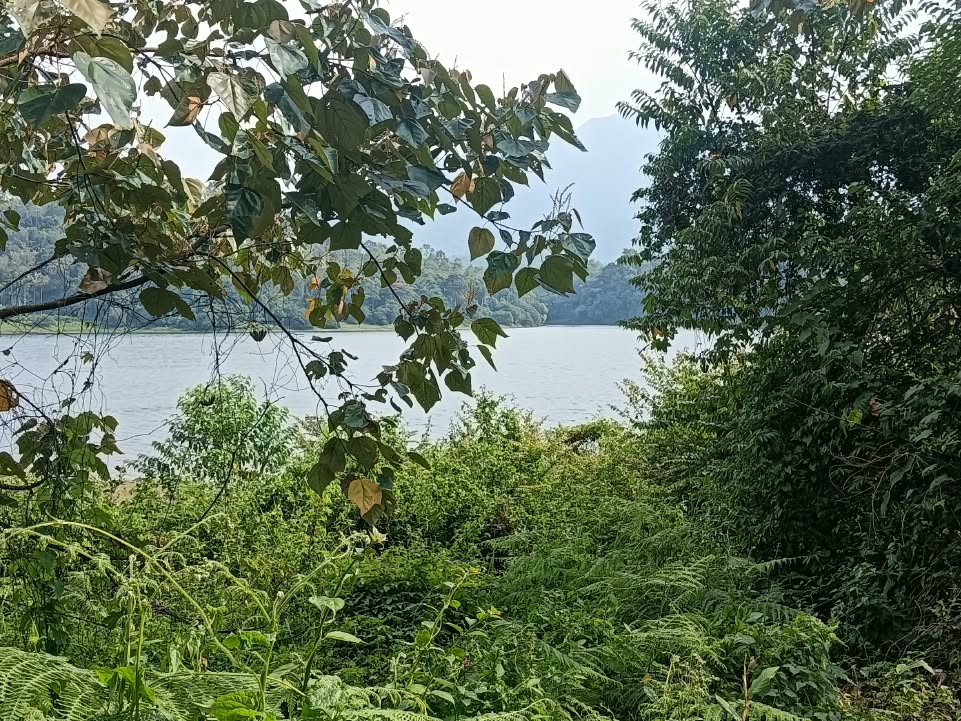 30 Cents Premium Waterfront Resort Land for Sale in Padinjarathara, Wayanad