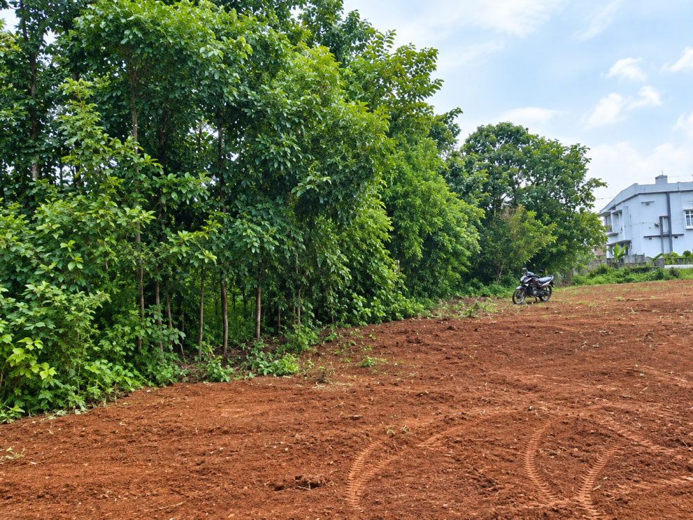 RESIDENTIAL LAND FOR SALE IN ALATHUR, PALAKKAD