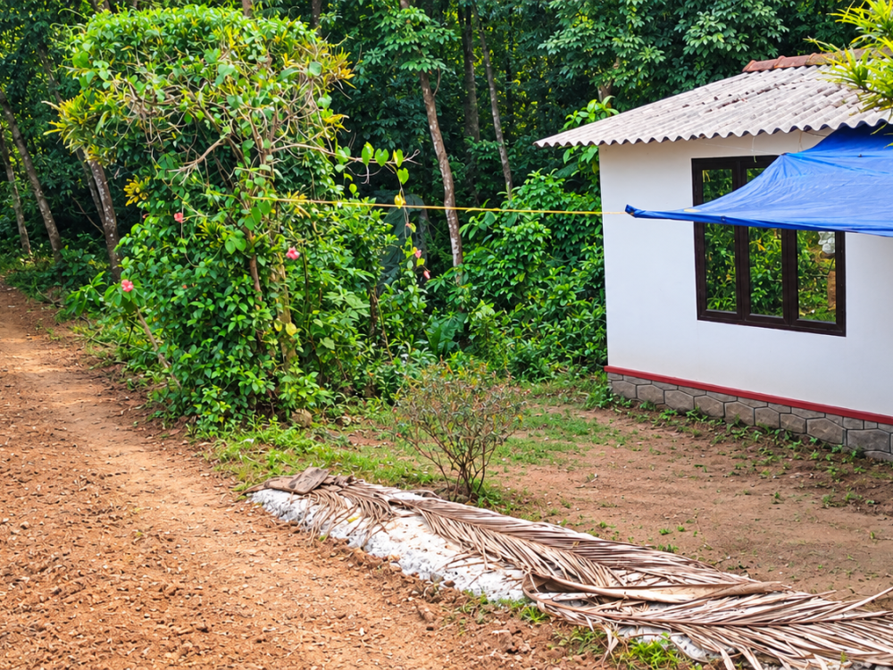 PLOT FOR SALE IN VEMPALLY, KOTTAYAM