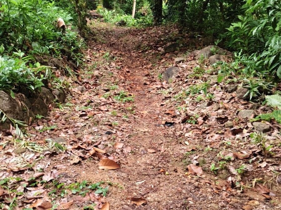 Land for Sale in Moonilavu, Meenachil, Kottayam