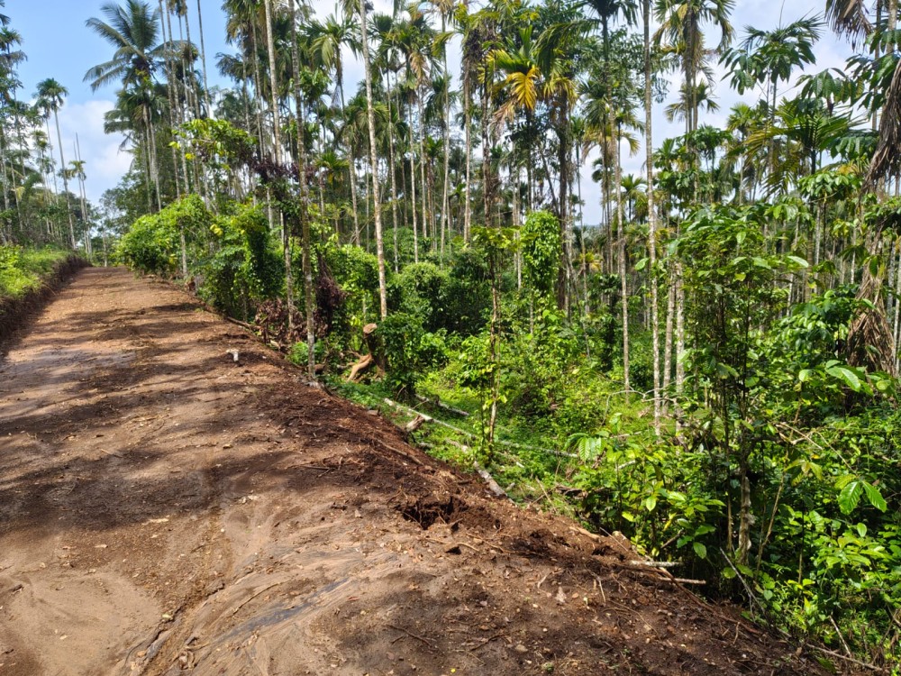 73 Cents Homestay / Villa Plot for Sale in Paplassery, Wayanad