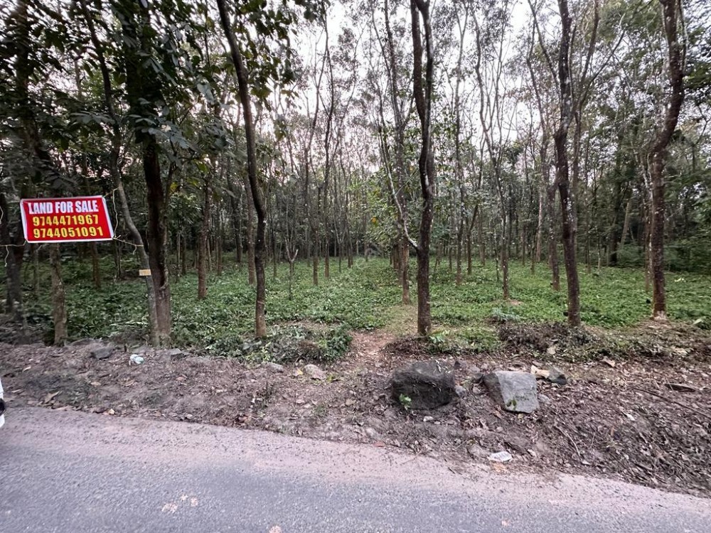 Land for Sale at Perumbavoor, Ernakulam 