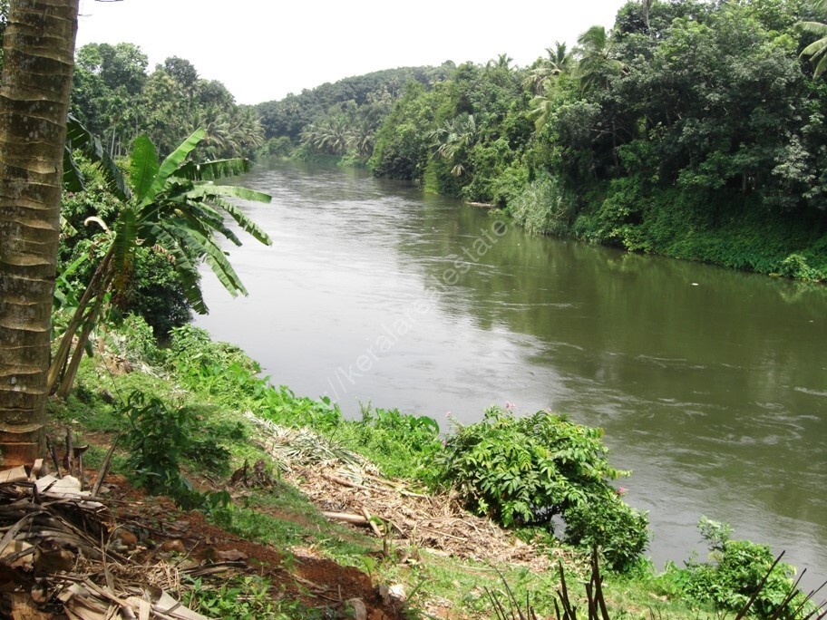 Waterfront Residential Property for Sale in Vazhakulam, Ernakulam  