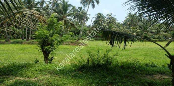 Land for Sale at Valamaruthur, Tirur, Malappuram