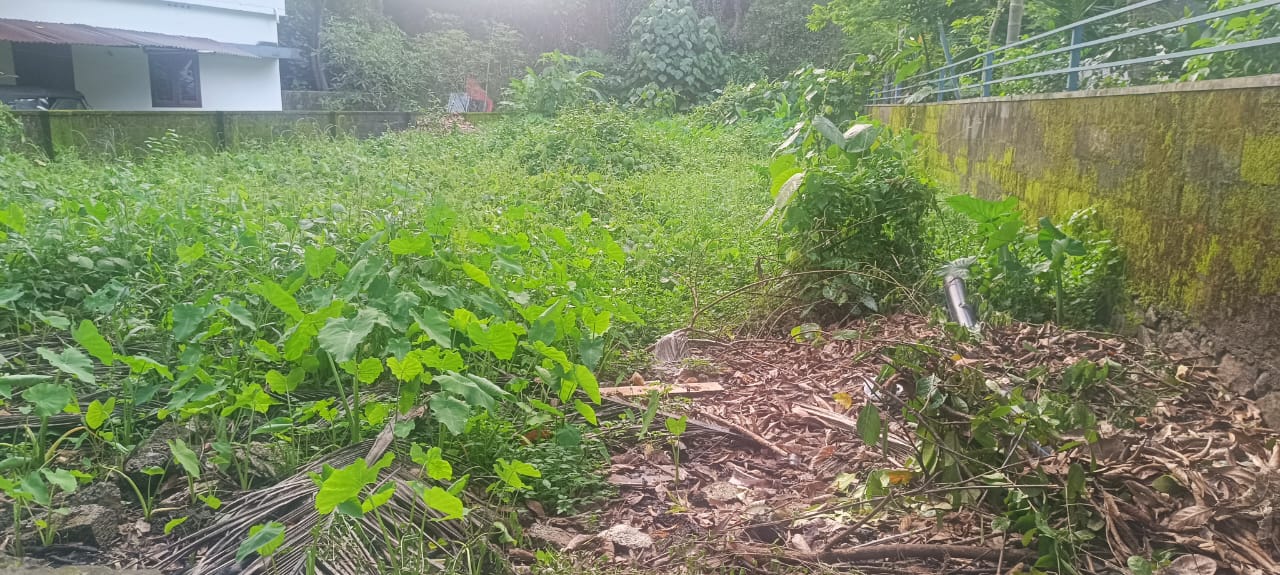 Land for Sale at Kakkanad, Ernakulam