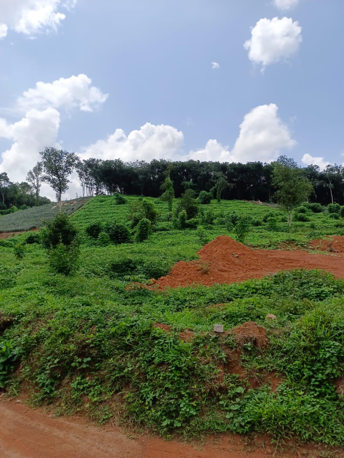 Land for Sale at Maneed, Ernakulam