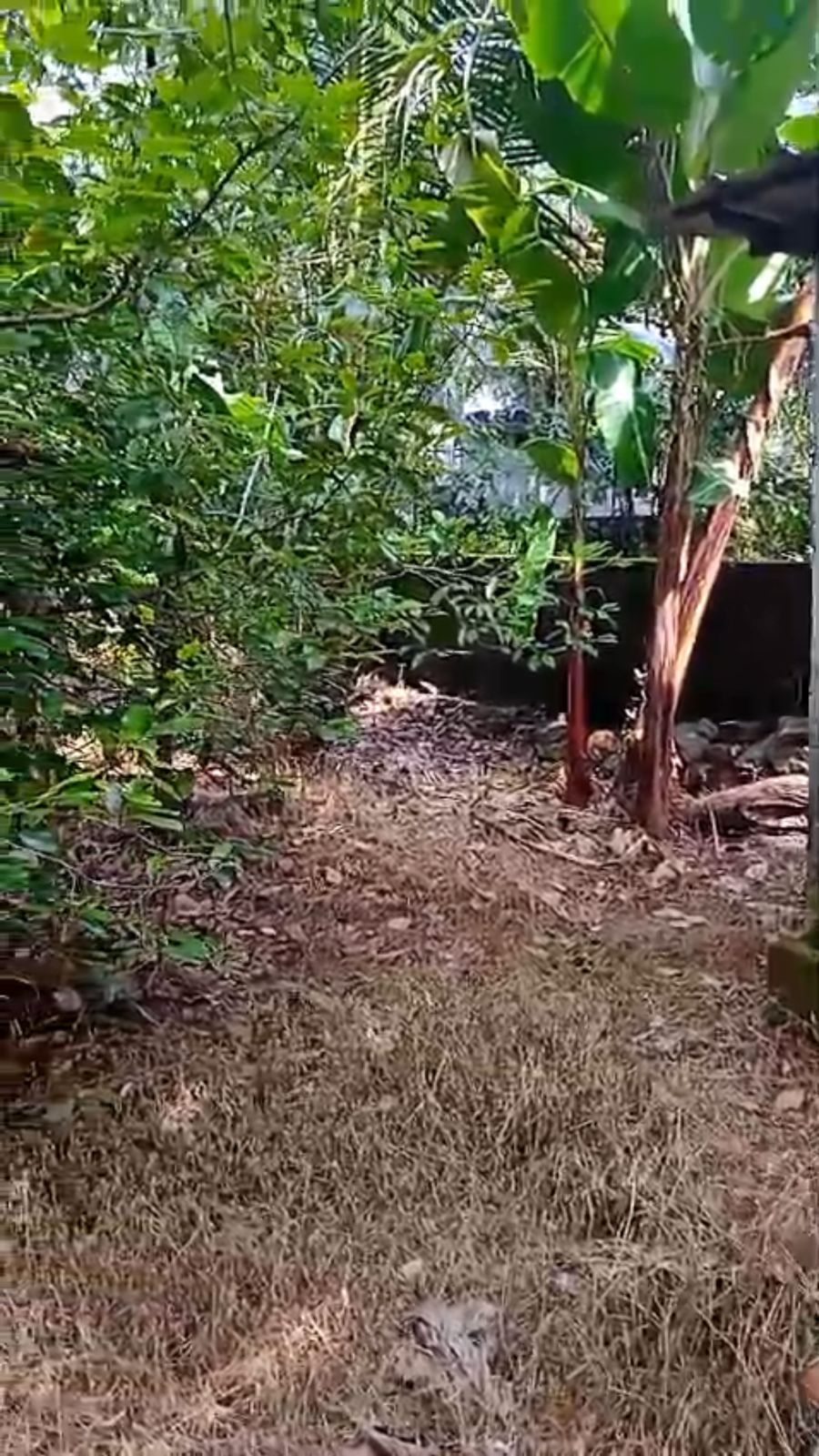 Land for Sale at Perumbavoor, Ernakulam
