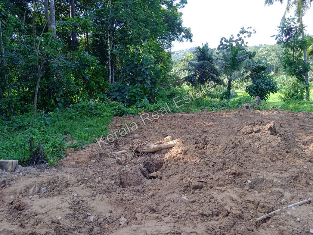 Land for Sale at Prakkanam, Pathanamthitta