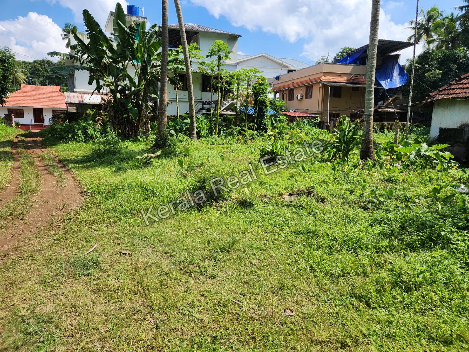 Land with House for Sale in Piravom, Ernakulam