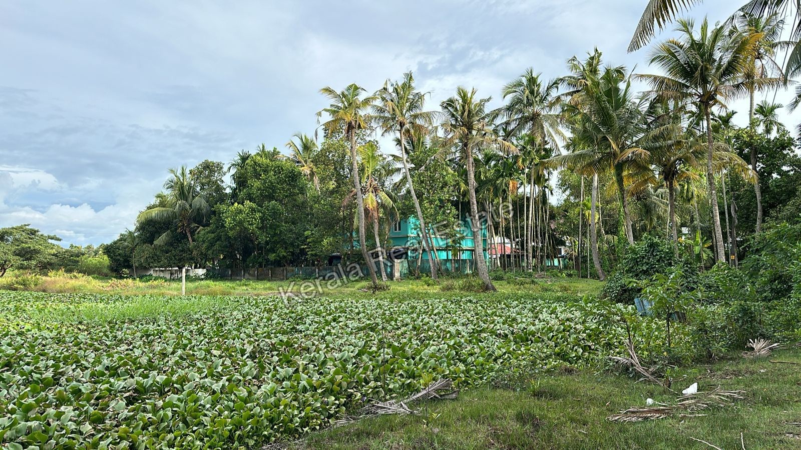 Land for Sale at Cheppanam, Ernakulam