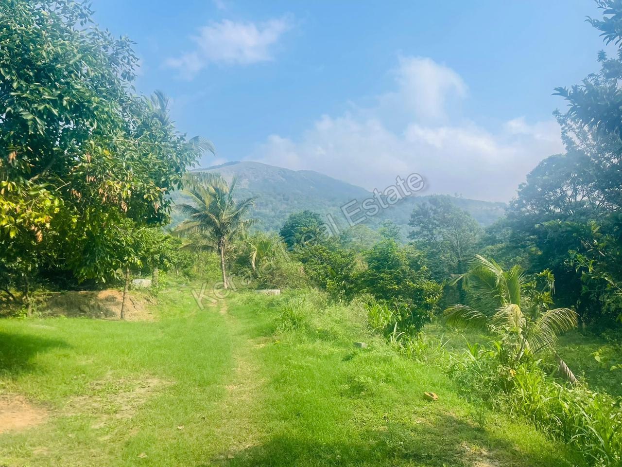 Land for Sale at Anaikatti, Sholayur, Palakkad