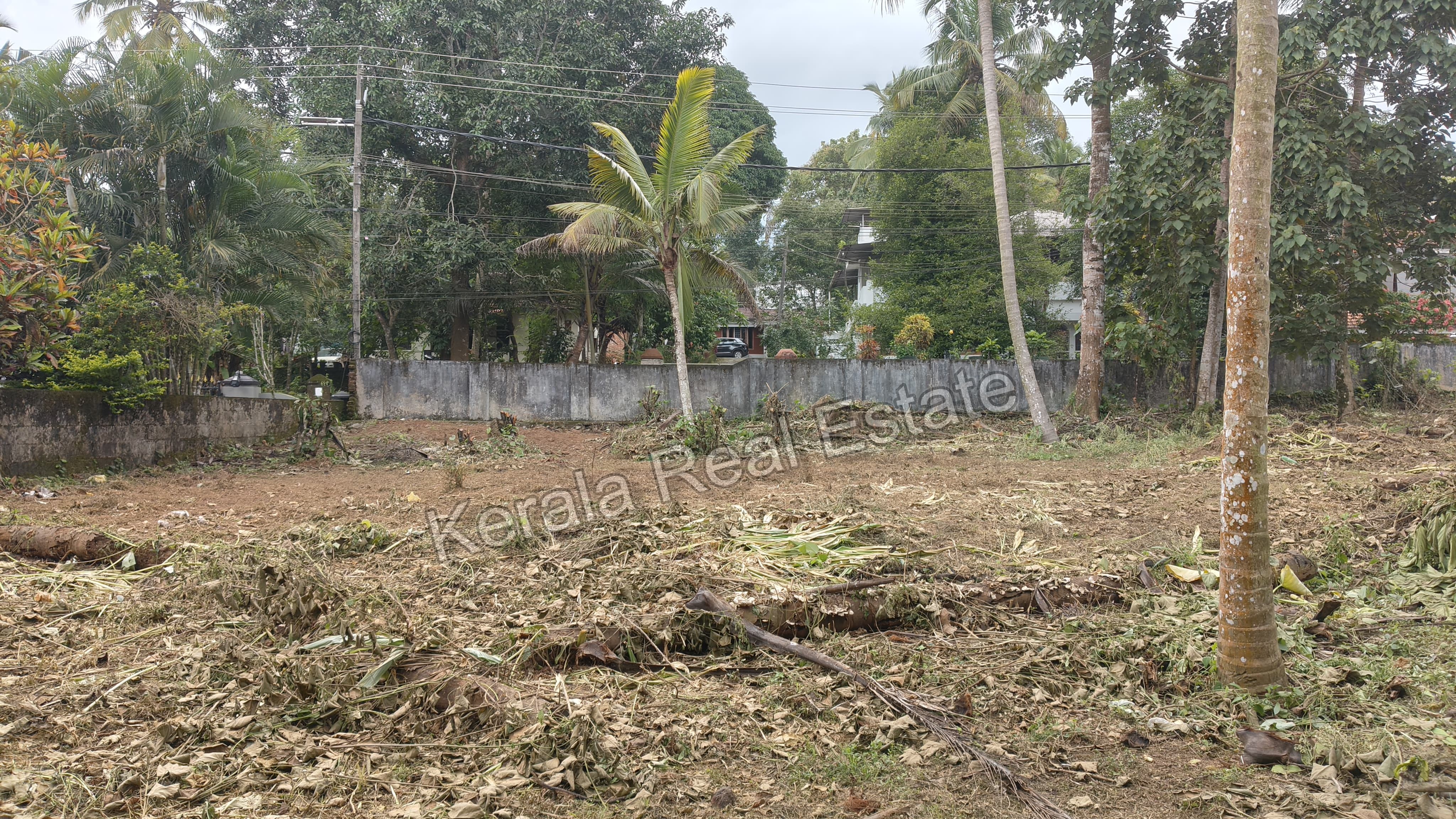Land for Sale at Changanassery, Kottayam