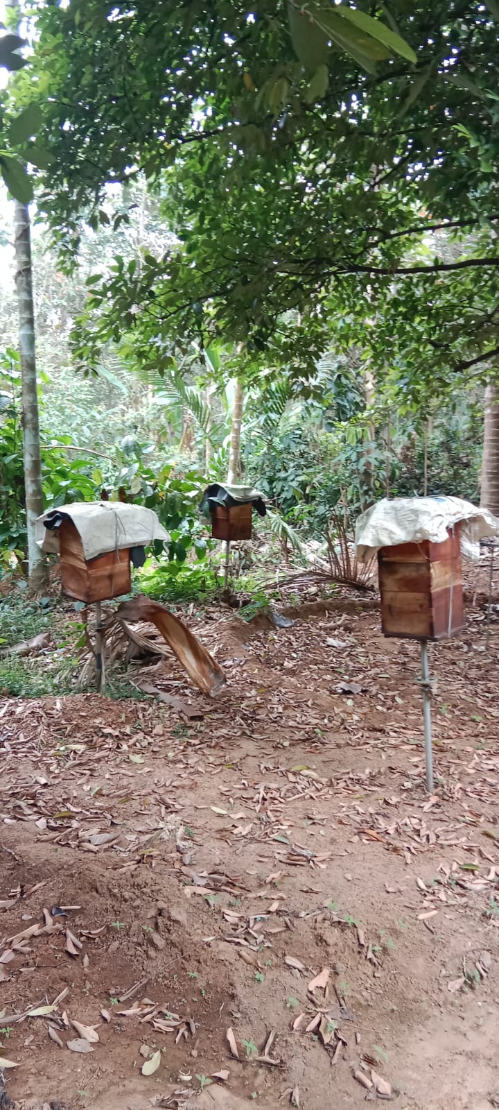 Land with Farm House for Sale at Koratty, Thrissur