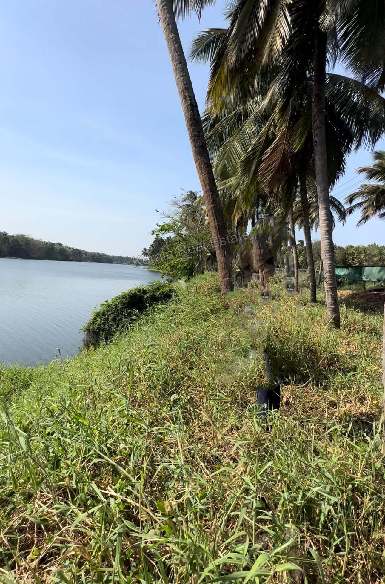 Land for Sale at Pazhambalakkode, Palakkad