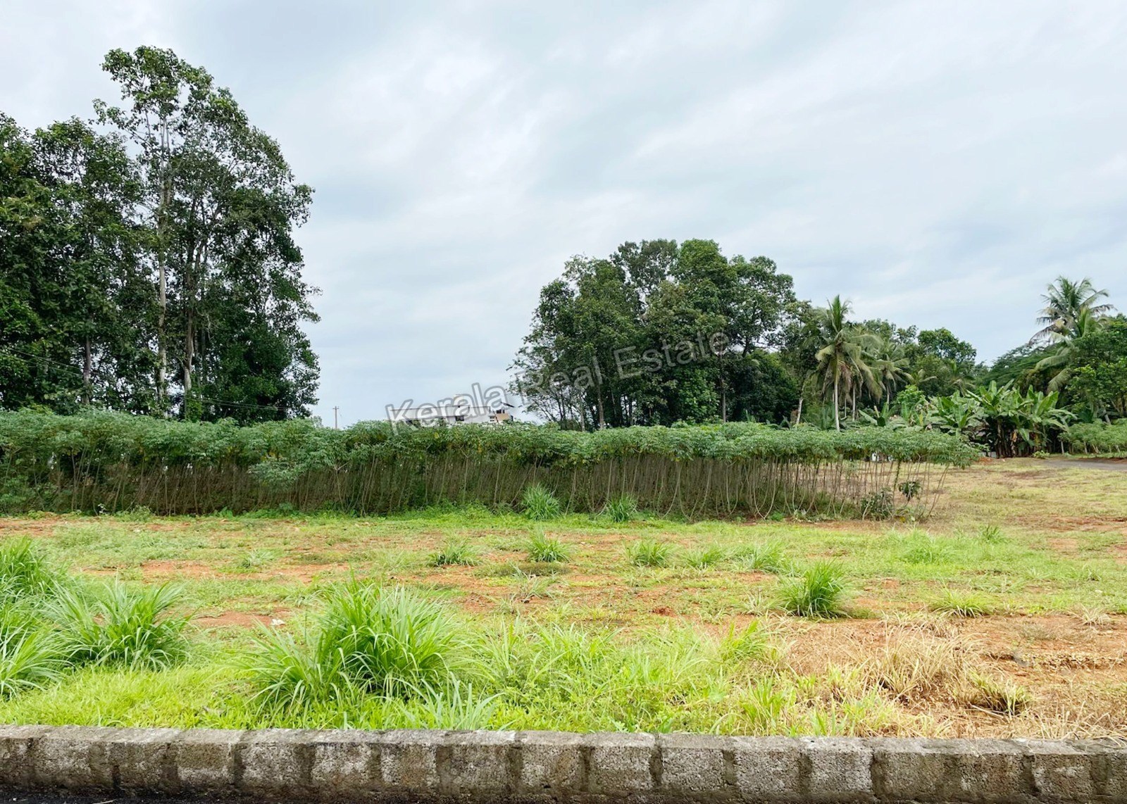 Land for Sale at Podimattam, Kanjirappally, Kottayam