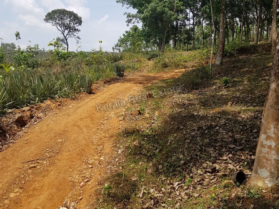 Rubber Plantation for Sale at Monippally, Near Pala, Kottayam