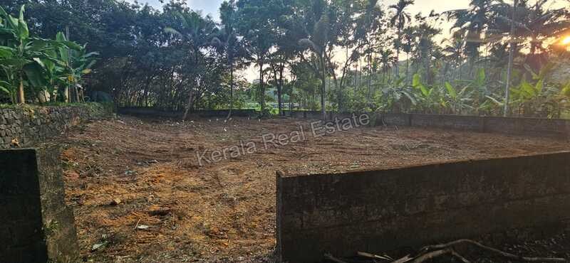 Land for Sale at Chottanikkara, Ernakulam