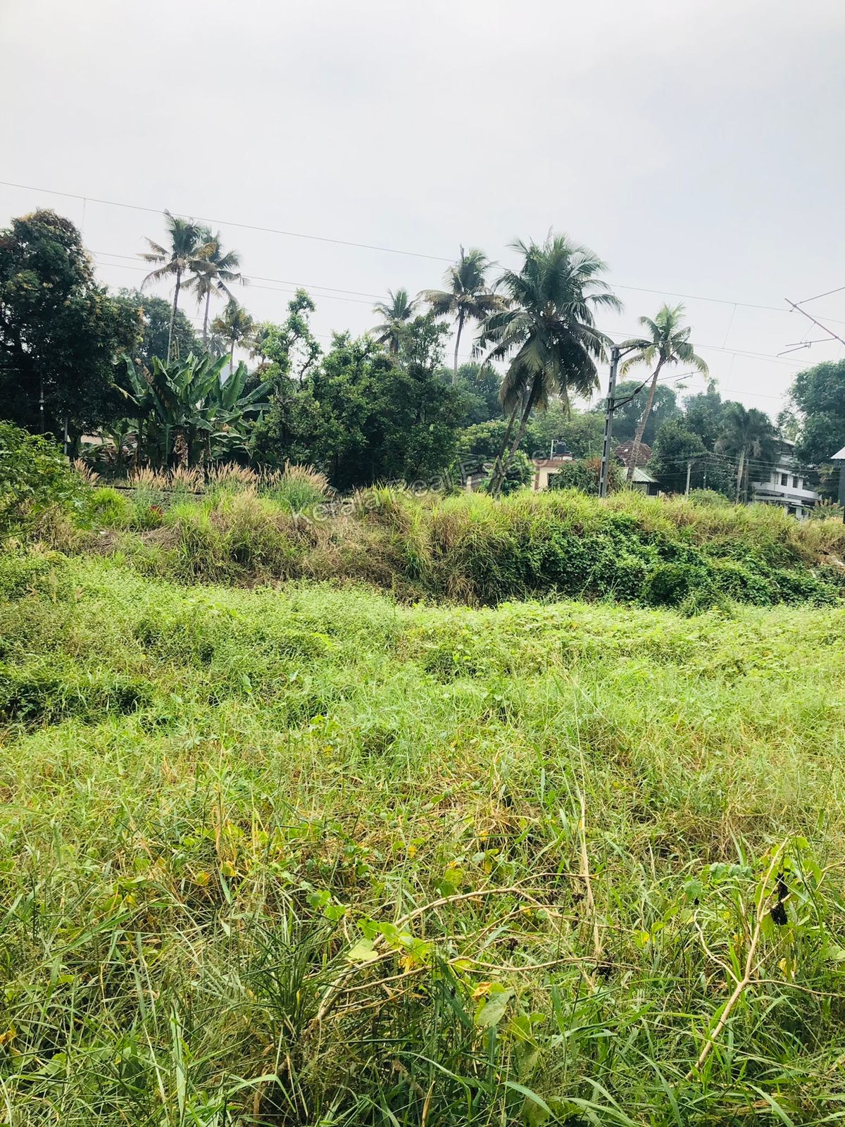 NH Frontage Land for Sale at Aluva, Ernakulam