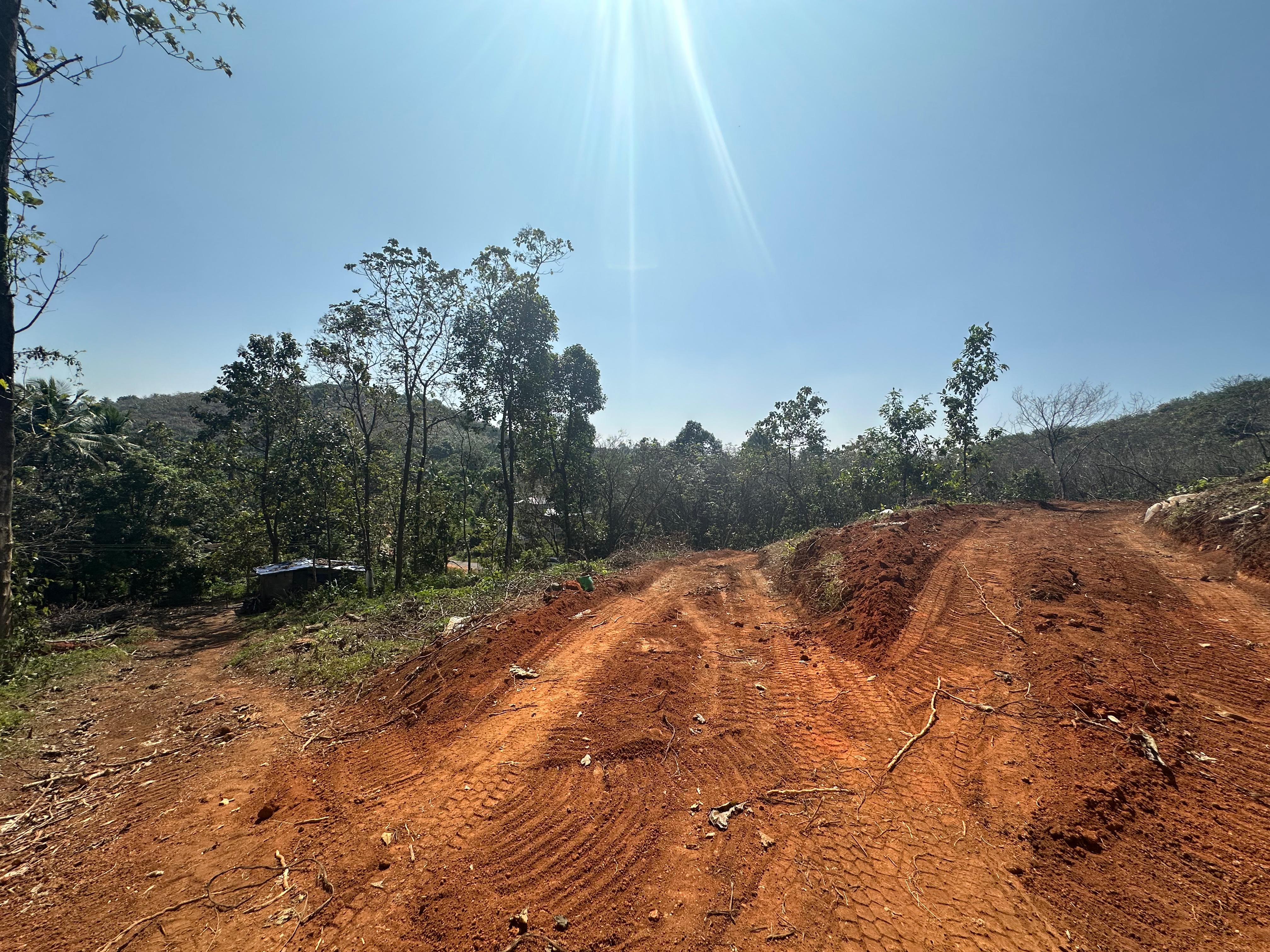 Prime Agricultural Land for Sale in Eroode, Kodenchery, Kozhikode