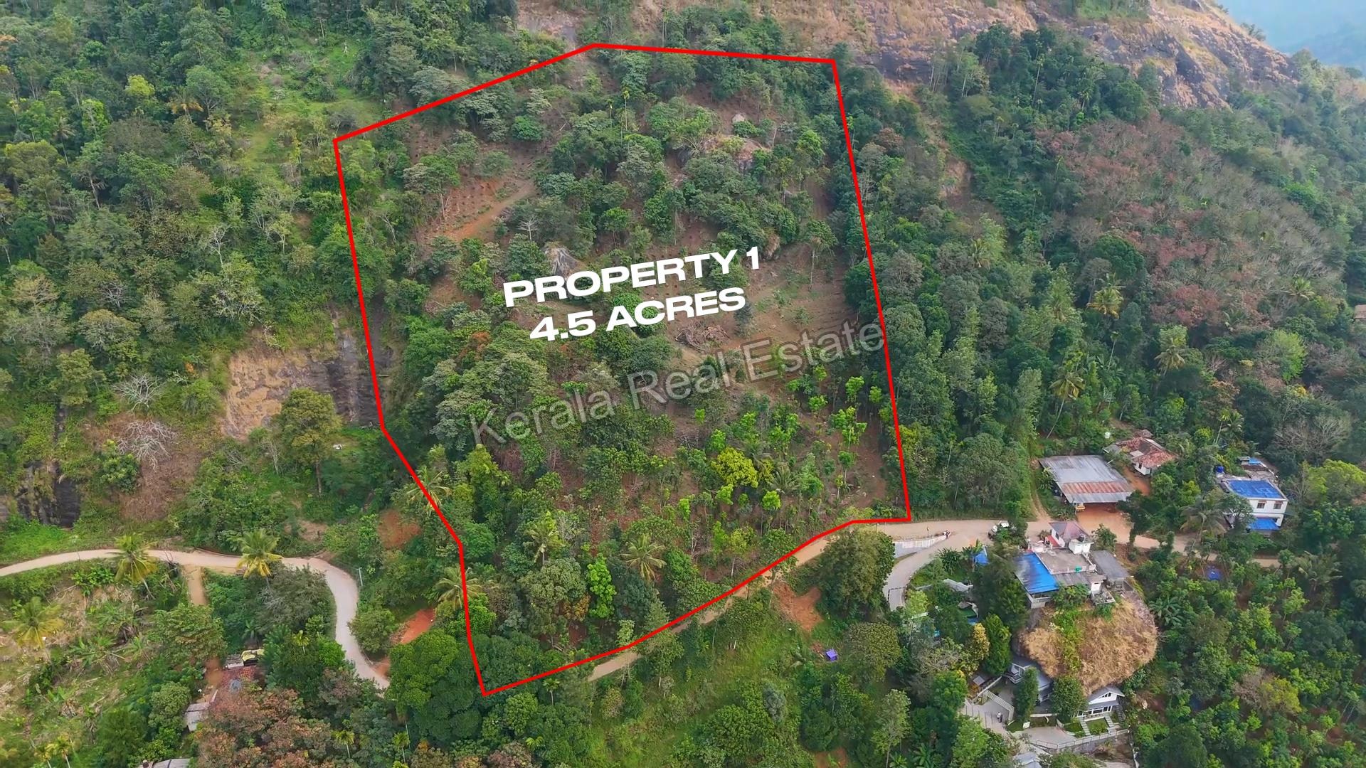 Land for Sale at Adimaly, Near Munnar, Idukki