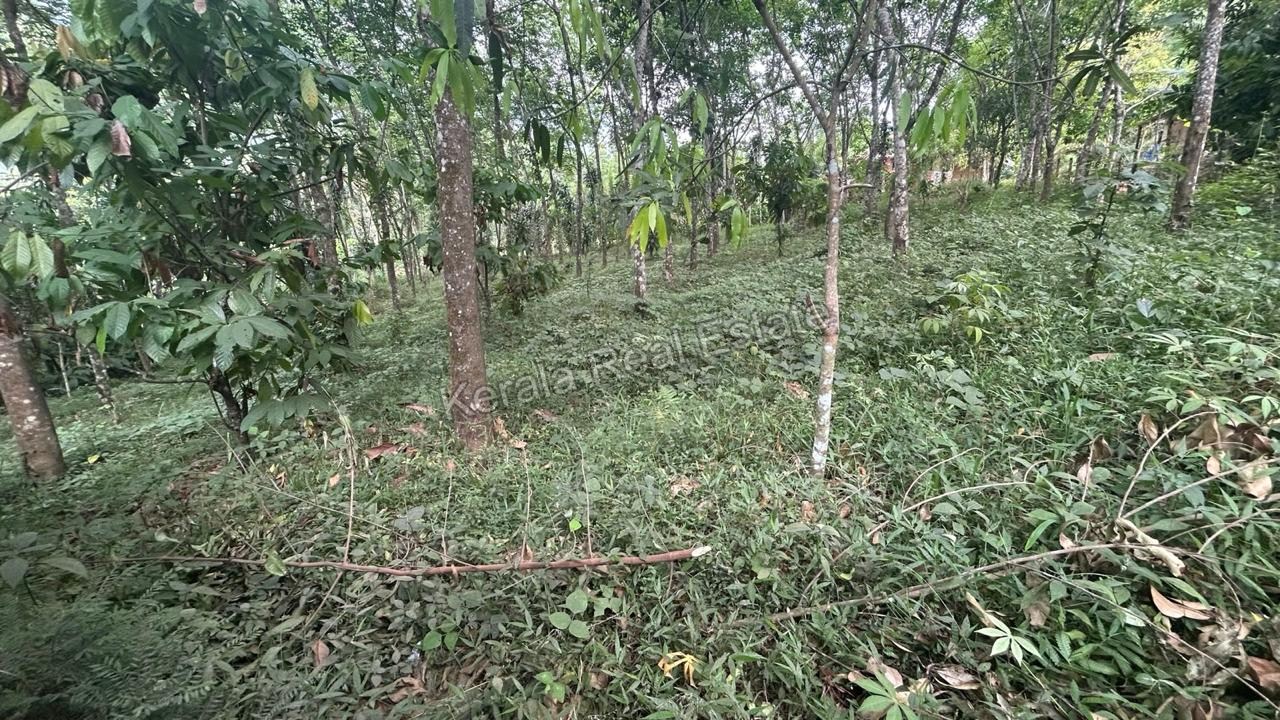 Land for Sale at Mankulam, Idukki