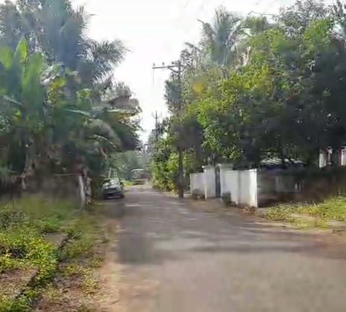 Land for Sale at Arayankavu, Ernakulam