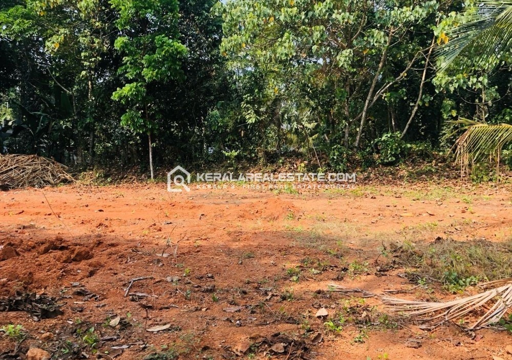 Land for Sale at Choorakode, Kizhakkambalam, Ernakulam