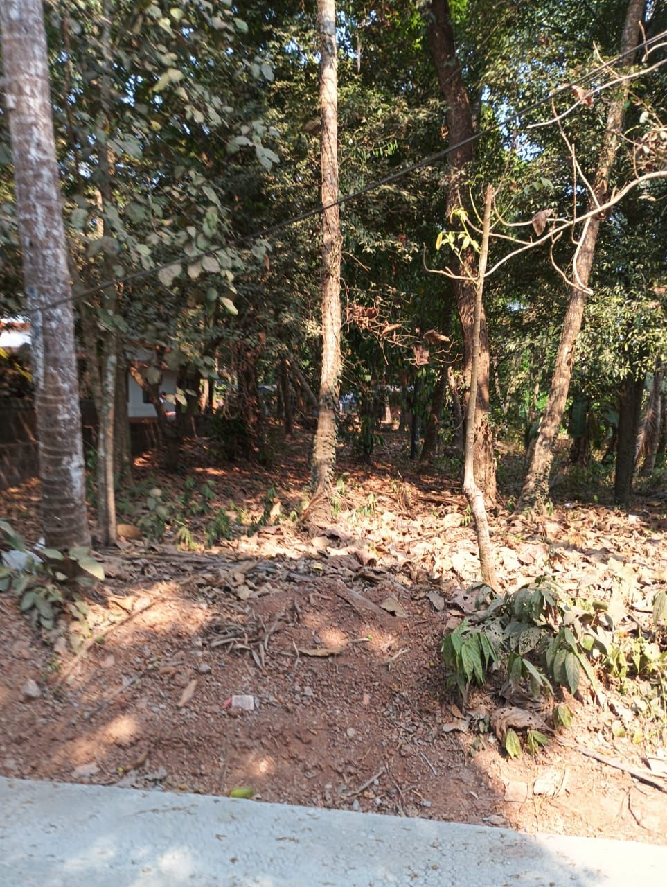 Land for Sale at Kuyyali, Thalassery, Kannur