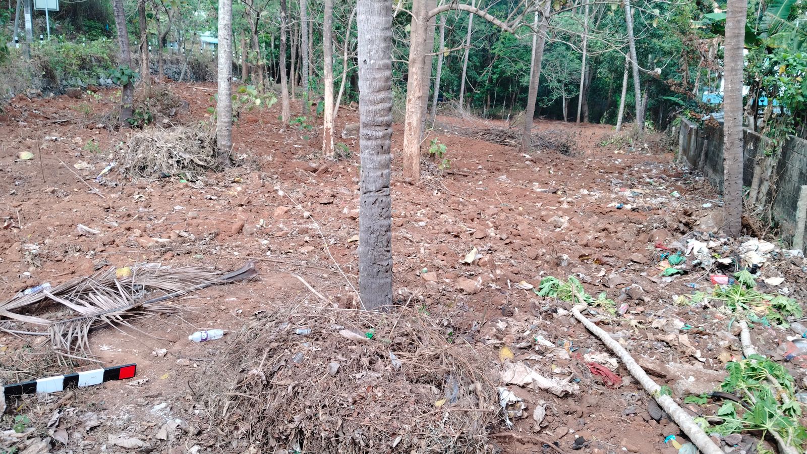 Land for Sale at Velamanoor, Kollam