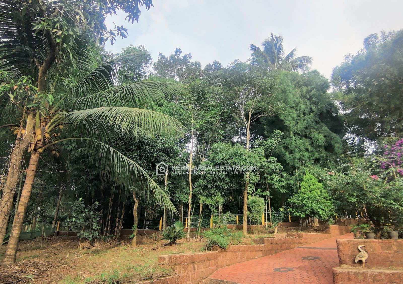 Land for Sale at Kenichira, Wayanad