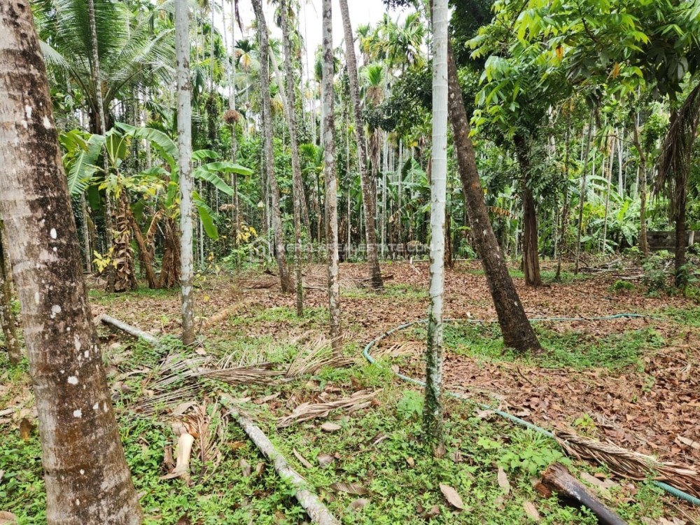 Residential Land for Sale at Kunnamkulam, Thrissur