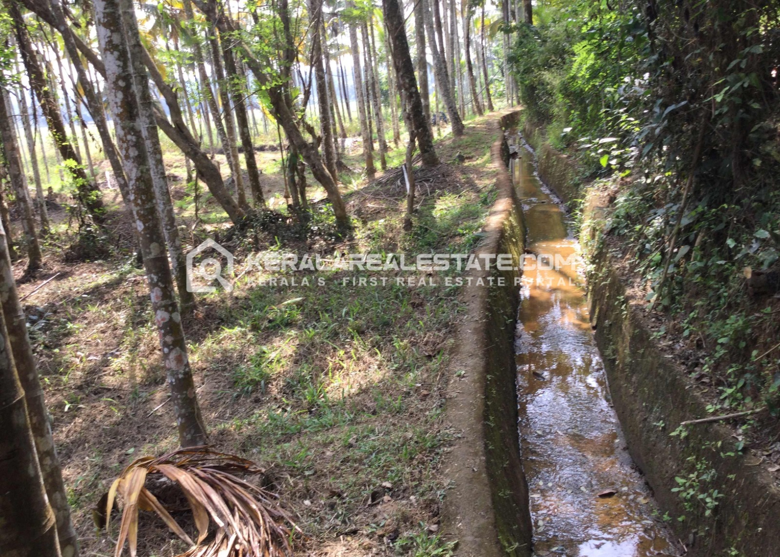 Commercial/ Residential Plots for Sale at Muttankara, Mananthavady, Wayanad