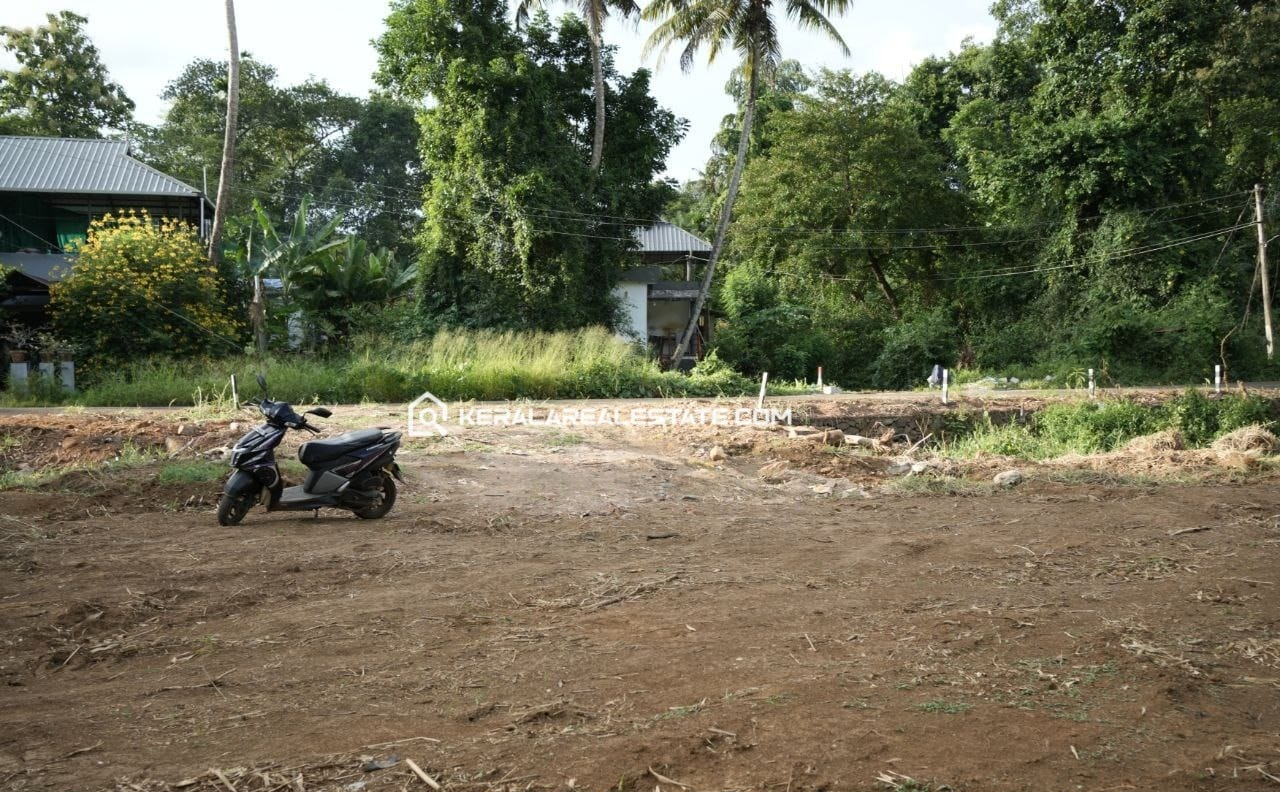 Waterfront Land for Sale in Nattassery, Kottayam
