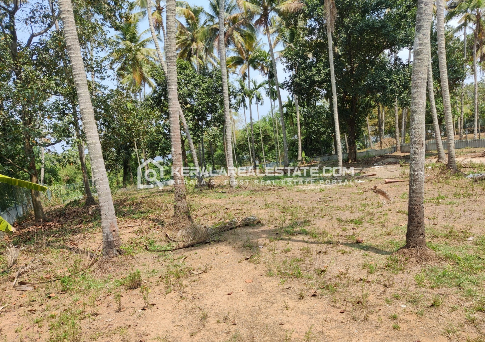 Waterfront Land for Sale at Mala, Thrissur